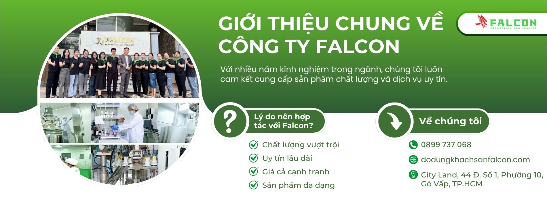 Đội ngũ nhân viên Falcon – Chuyên gia cung cấp đồ dùng khách sạn và dịch vụ uy tín.