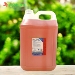 Can nước tẩy bồn cầu 10 lít